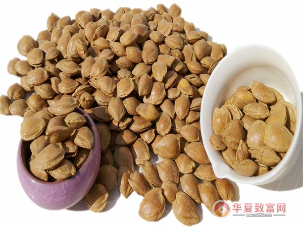 休闲干果加盟